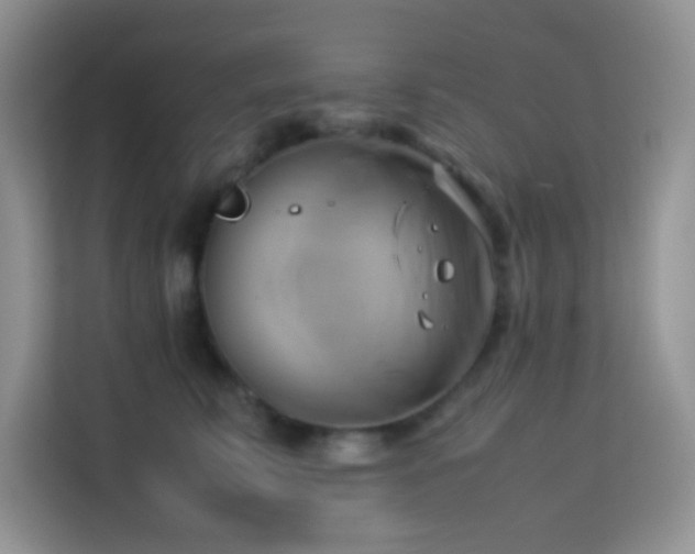 X0000114150711200910081333