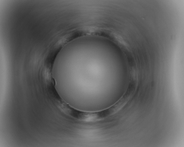 X0000114150719200910081333