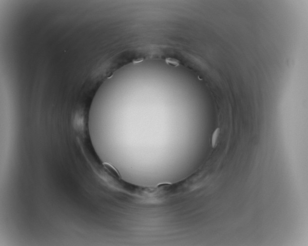 X0000114150720200910081333