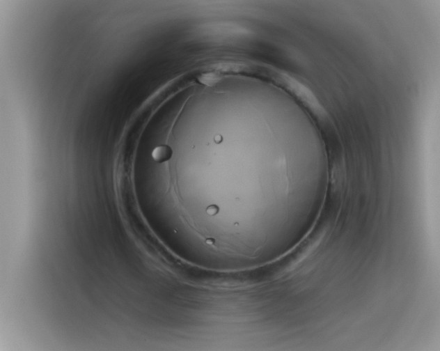 X0000114150722200910081332