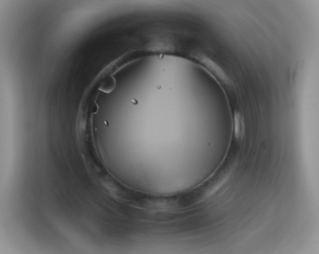 X0000114150723200910081332