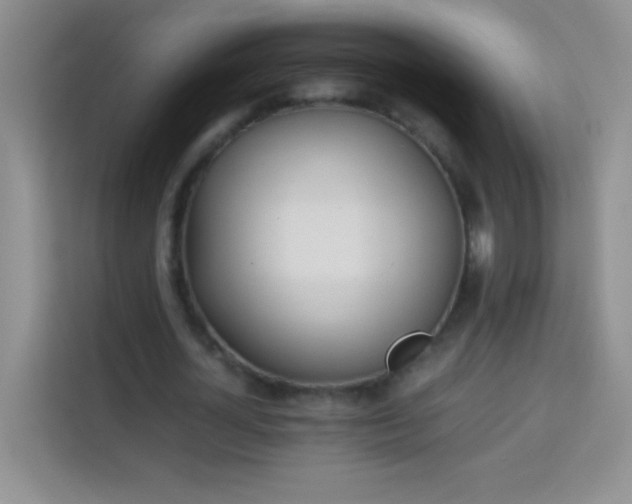 X0000114150724200910081332