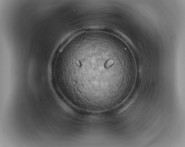 X0000114150725200910081332