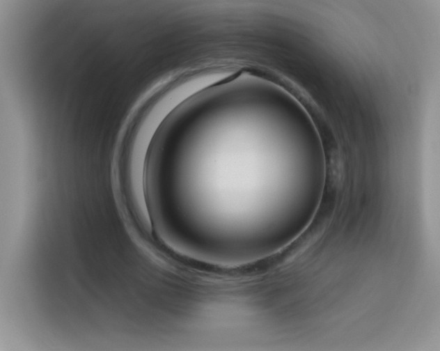 X0000114150726200910081332