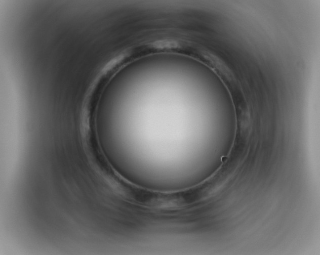 X0000114150727200910081332