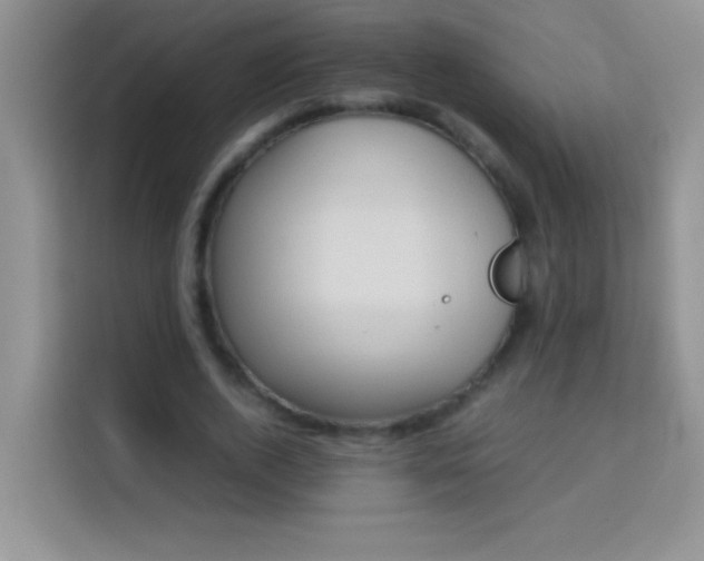 X0000114150728200910081332