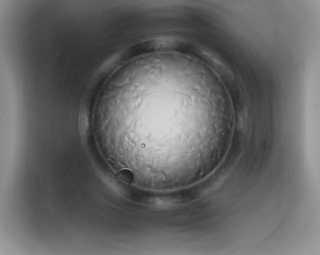 X0000114150733200910081332