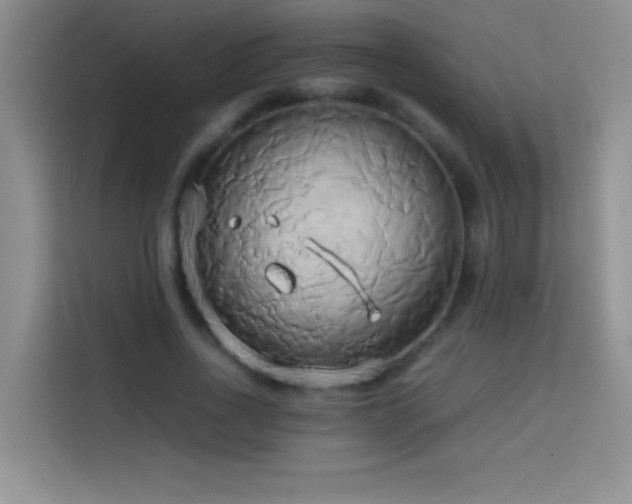 X0000114150734200910081332