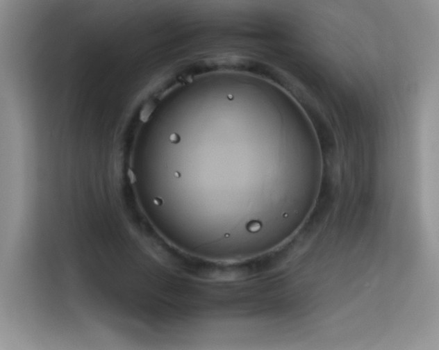 X0000114150735200910081332