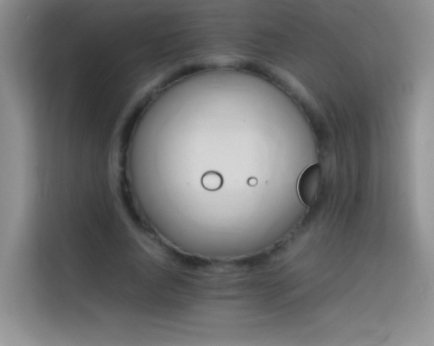 X0000114150736200910081332