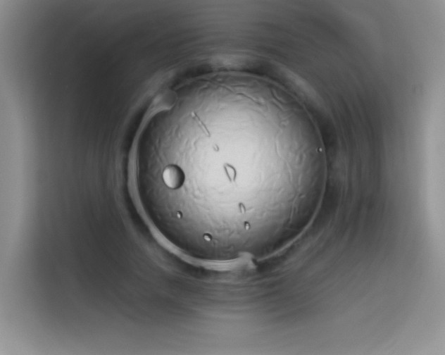 X0000114150738200910081332