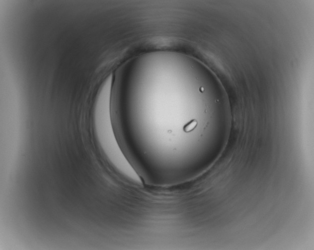 X0000114150740200910081332