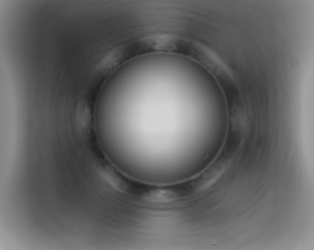 X0000114150748200910081332