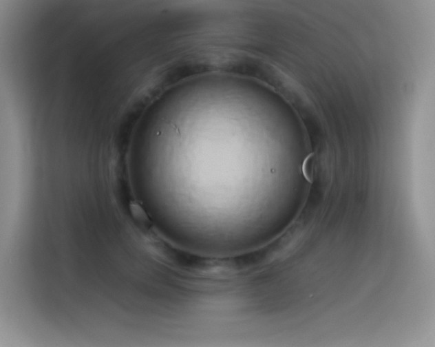 X0000114150750200910081332