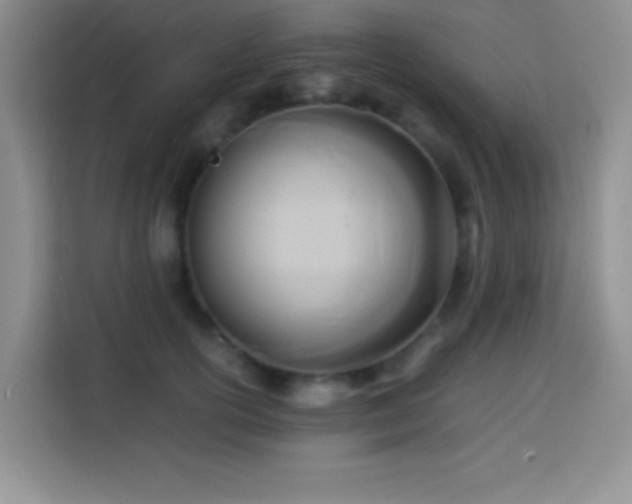 X0000114150754200910081333