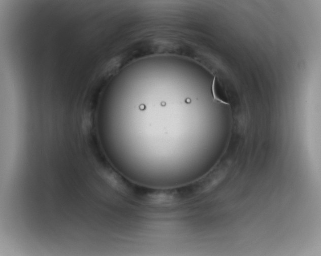X0000114150756200910081333