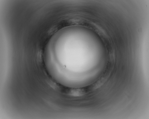 X0000114150757200910081333