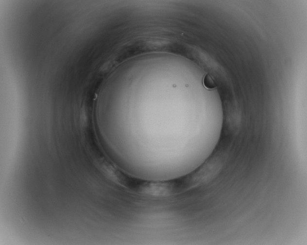 X0000114150758200910081333