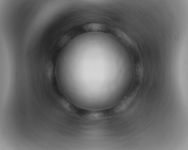 X0000114150760200910081333