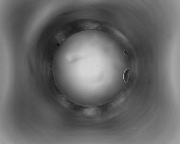 X0000114150761200910081333