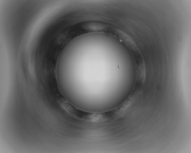 X0000114150762200910081333