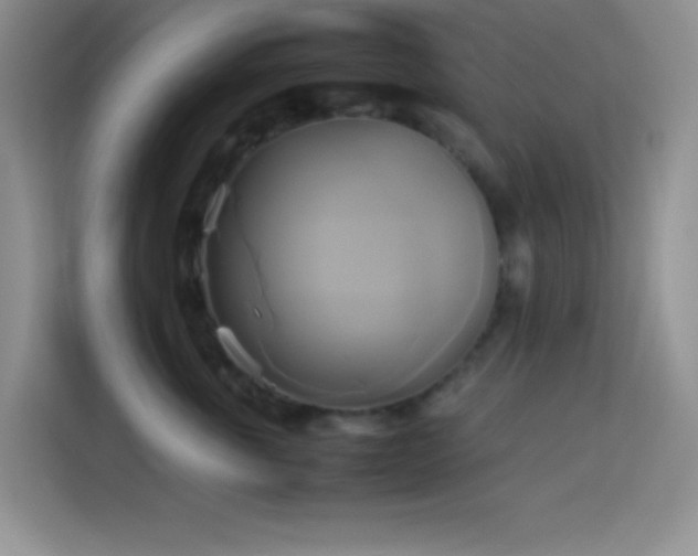 X0000114150763200910081333