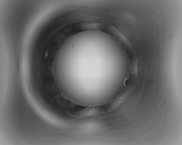 X0000114150764200910081333