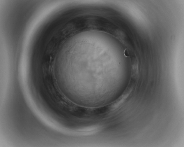 X0000114150765200910081333
