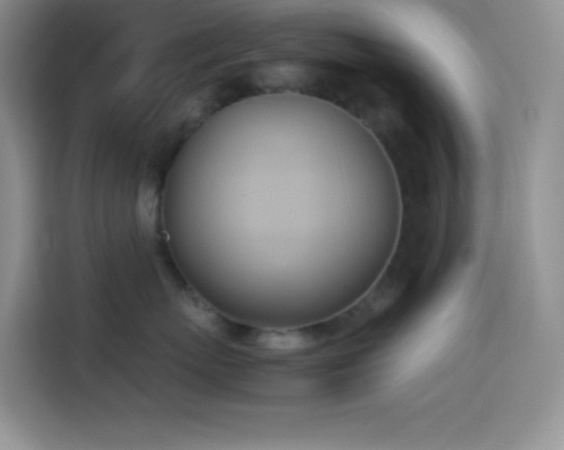 X0000114150767200910081333