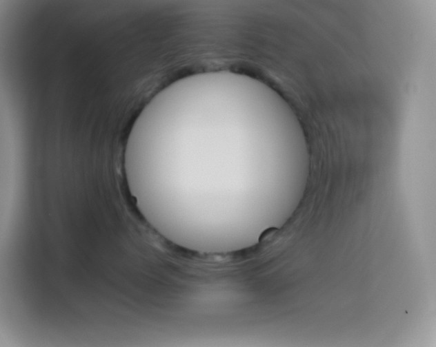 X0000114150768200910081333