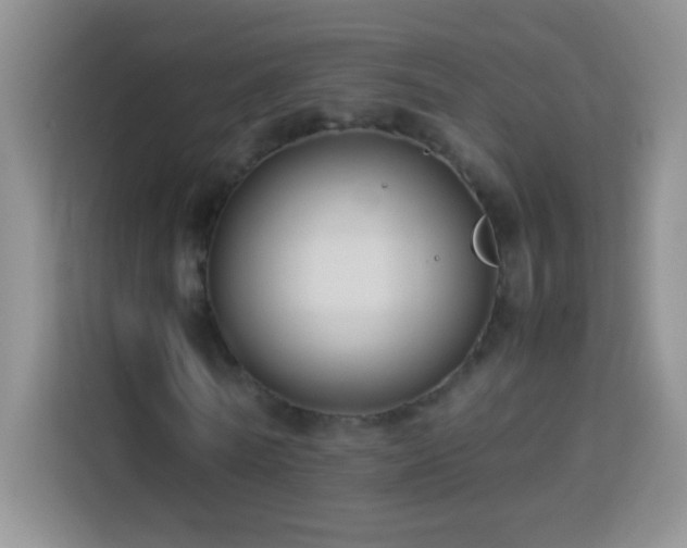 X0000114150770200910081332