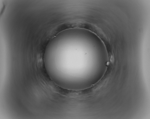 X0000114150771200910081332