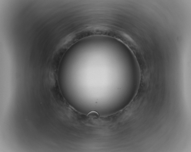 X0000114150774200910081332