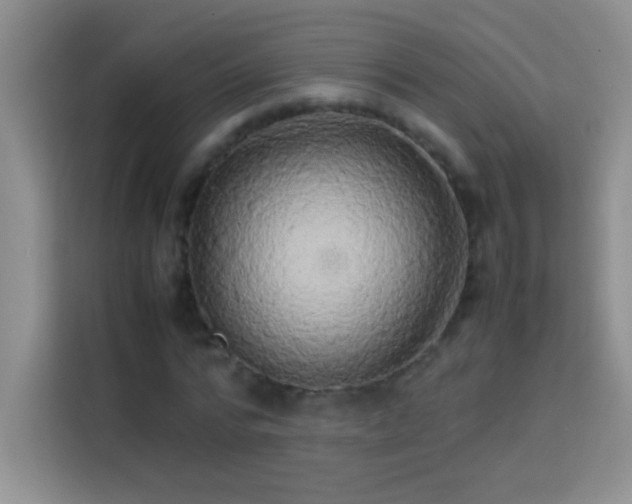 X0000114150776200910081332