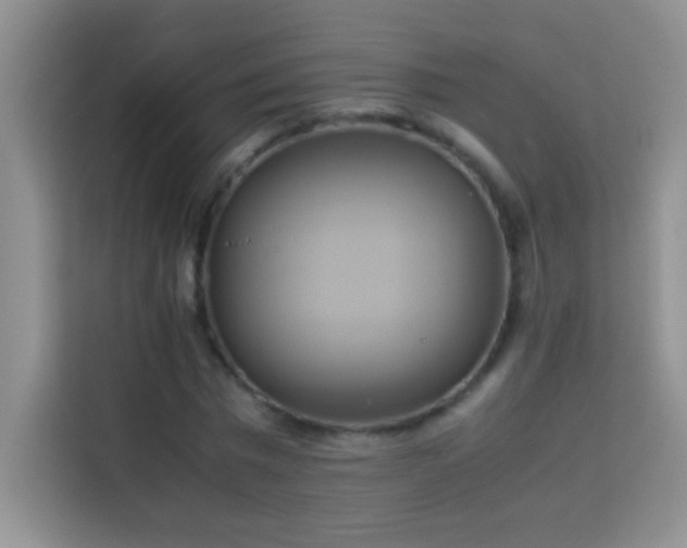 X0000114150777200910081332