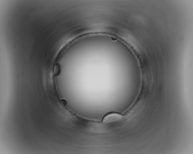 X0000114150781200910081332