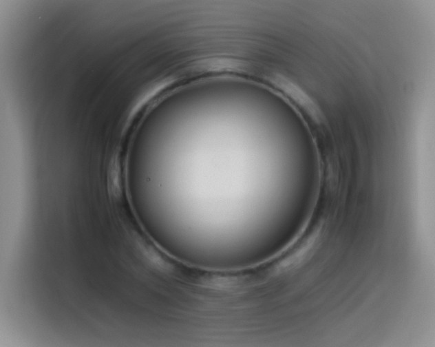 X0000114150782200910081332