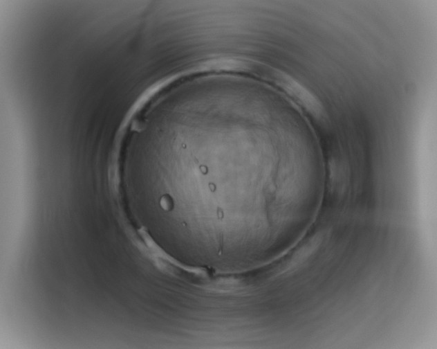 X0000114150784200910081332