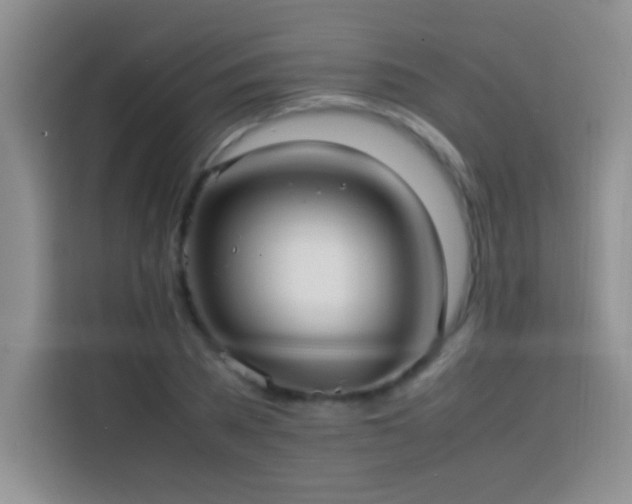 X0000114150785200910081332