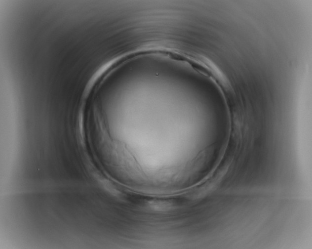 X0000114150788200910081332