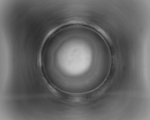 X0000114150791200910081332