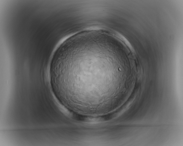 X0000114150795200910081332