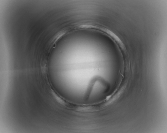 X0000114150801200910081332