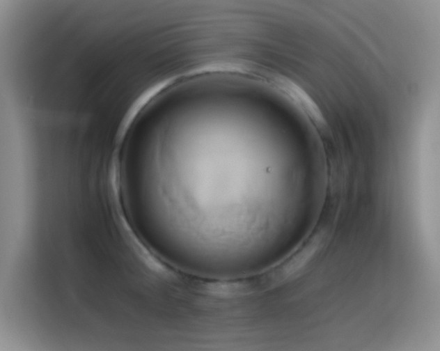 X0000114150804200910081332