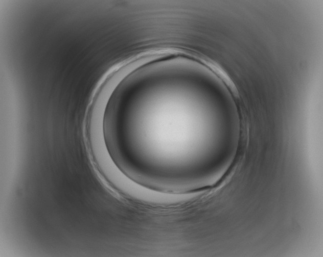 X0000114150805200910081332