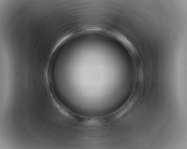 X0000114150806200910081332