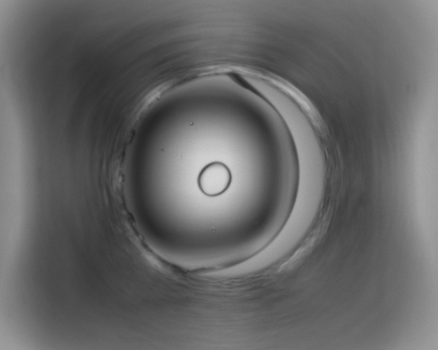 X0000114150809200910081332