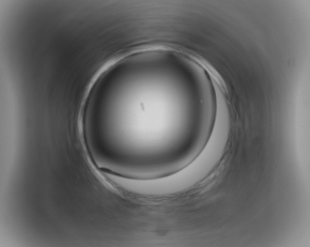 X0000114150813200910081332