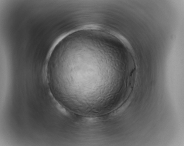 X0000114150816200910081331