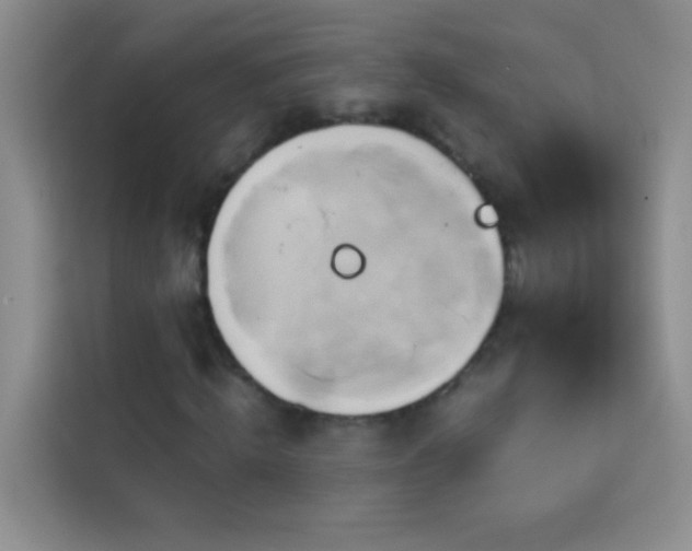 X0000114150820200910081331